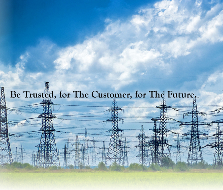 Wiring Trust! Wiring  Future! Be Trusted, for The Customer, for The Future.